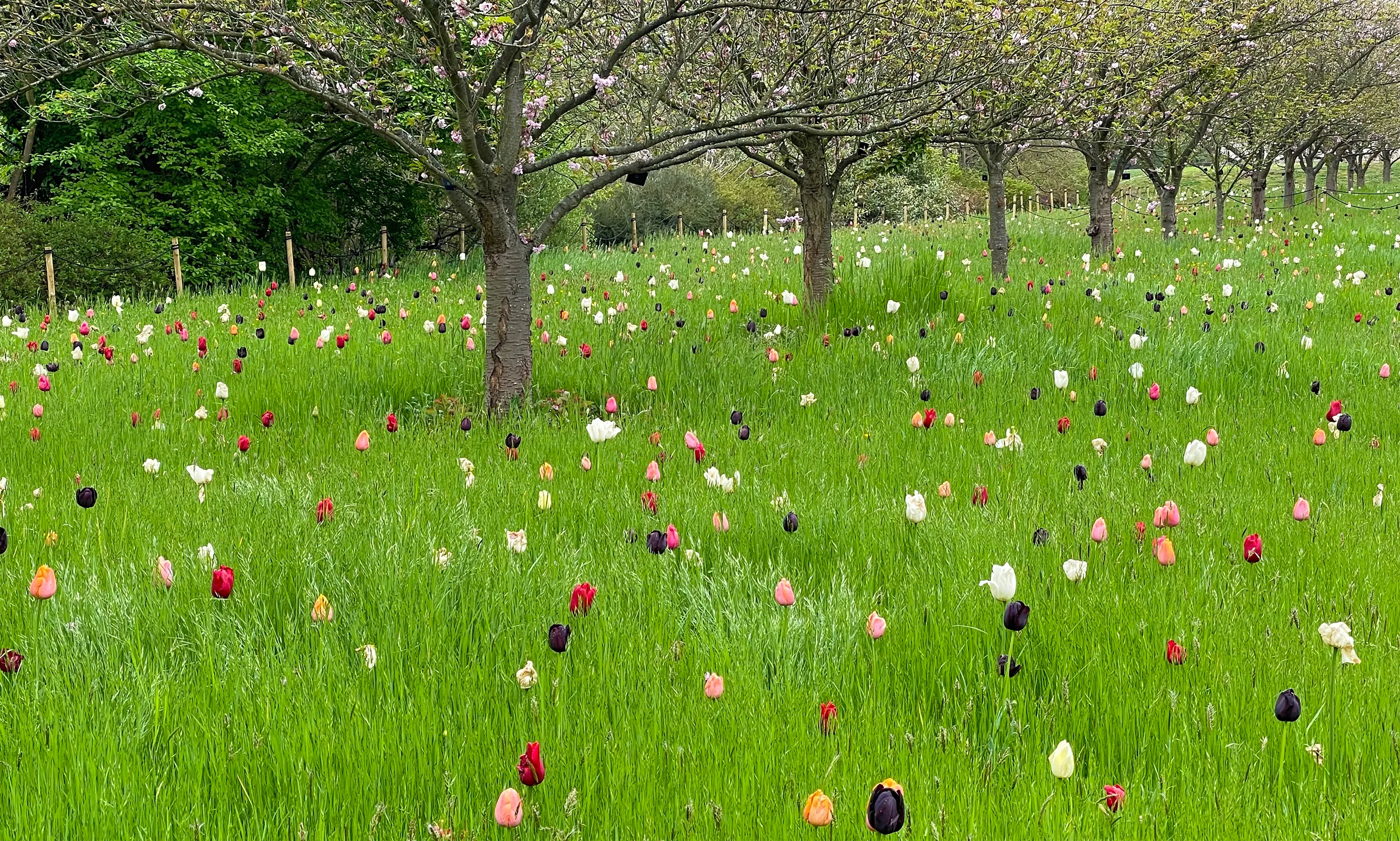 メインビジュアル1